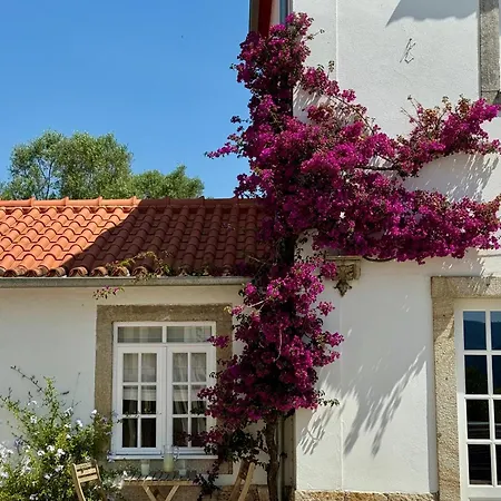 As Casinhas, Slow Living In Minho Quinta